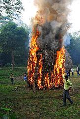 Bhogali Bihu