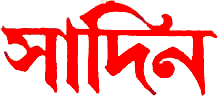 Sadin Logo